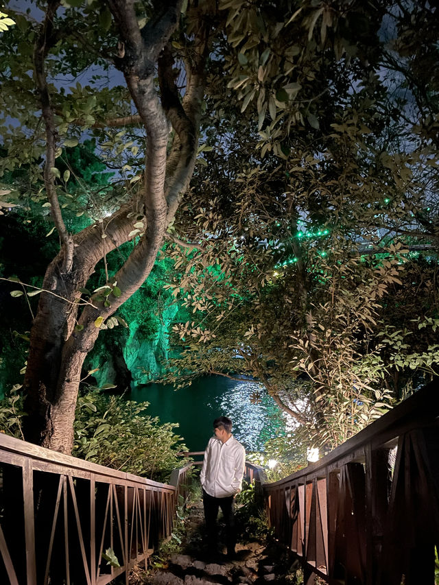 제주의 밤을 물들이는 비밀정원, 용연계곡🍃
