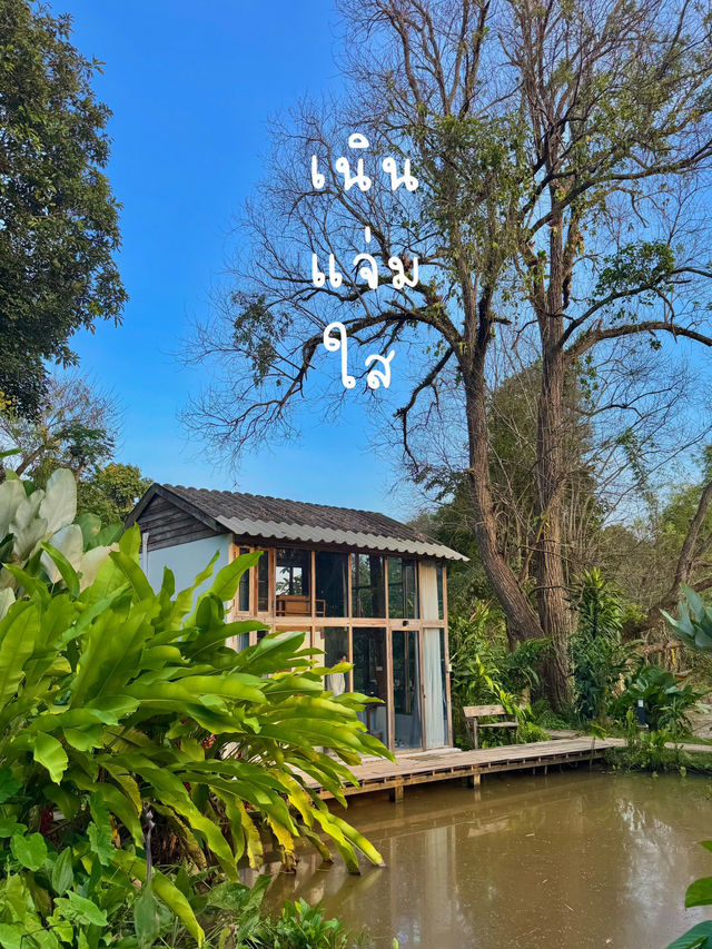 เนินแจ่มใส ที่พักที่โอบกอดด้วยภูเขา 🌸🍃