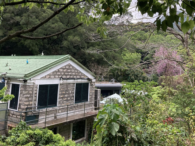 清靜環境放鬆心靈之選   清靜環境放鬆心靈之選