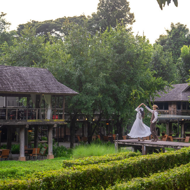 พักผ่อนฮีลใจที่เชียงใหม่ นอนรีสอร์ทสวย 🌳