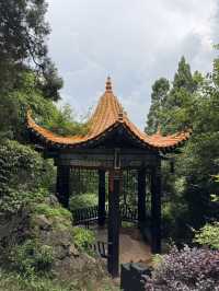 Do you love China natural ?
