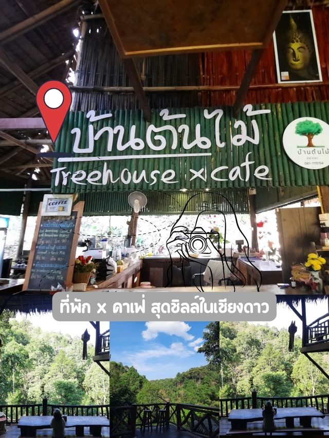 🌳 "บ้านต้นไม้" ที่พักและคาเฟ่สุดชิลล์ในเชียงดาว