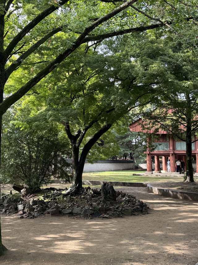 🌳 전주에서 만나는 전통과 여유로운 풍경 🌿