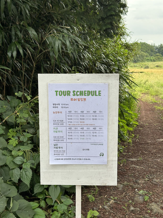 10월 추석연휴 제주 역대급 페스티벌