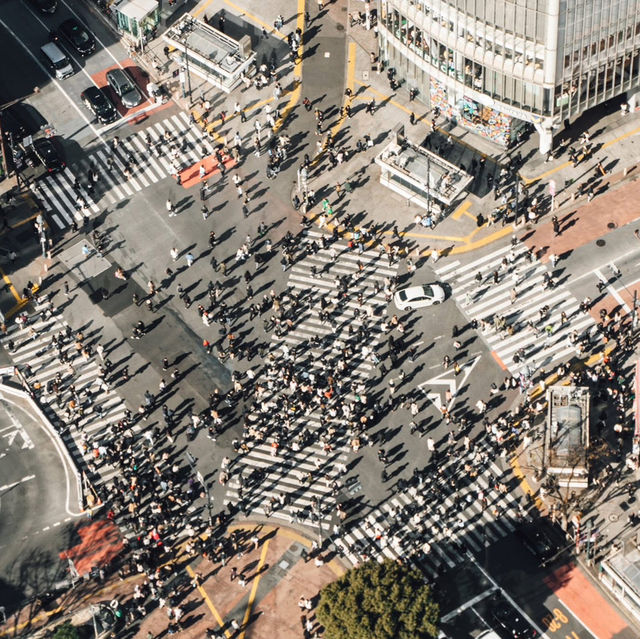 ☁️🗼 SHIBUYA SKY: The Ultimate Tokyo City Viewpoint!