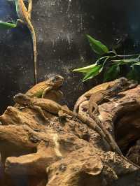 MANILA OCEAN PARK & BIODOME BLISS