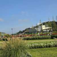 Suncheon Bay National Garden