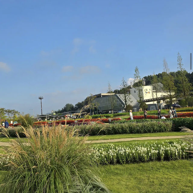 Suncheon Bay National Garden