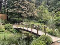 Garden of Morning Calm