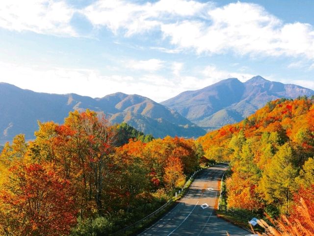 紅葉の定番🍁日本の有名観光スポット