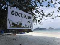 Cockburn Island