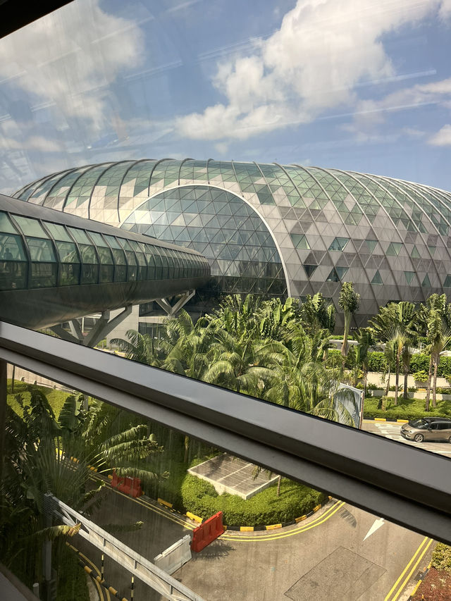 🌴シンガポールの空港で味わう癒しと美味しいアイス🍨|Jewel Changi Airport 🌴シンガポールの空港で味わう癒しと美味しいアイス🍨|Jewel Changi Airport