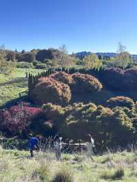 🌳 Tihiotonga Centennial Park: Where History, Nature & Panoramic Vistas Unite! 🏞️