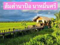 ส้มตำนาป้อ นาหมื่นศรี