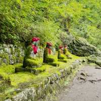 The Stone Guardians of Nikko: My Solo Walk Through Kanmangafuchi Abyss