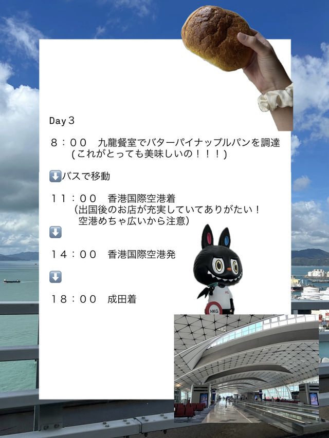 [香港3日間]大充実な旅行プラン🌱