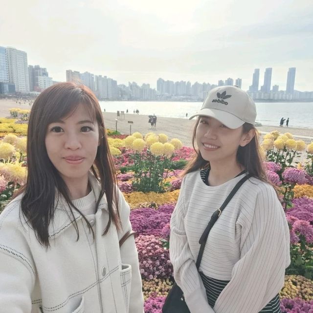 釜山🇰🇷廣安大橋🌁海濱咖啡街～花海片片