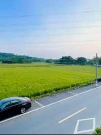 珠海慢活三日遊|犬禾民宿斗門御溫泉店狗貓友好住宿·田園美景Chill住享溫泉