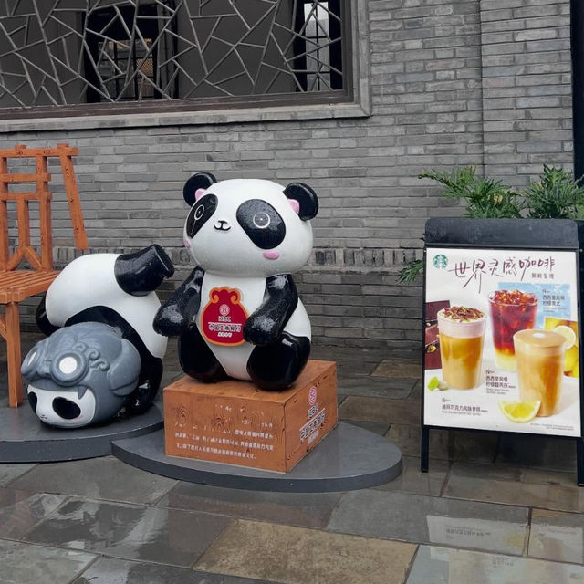 Panda Paradise in Chengdu 🐼 Panda Paradise in Chengdu 🐼