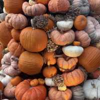 Franklin Park Conservatory and Botanical Gardens