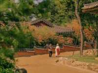 🕊️ Bongeunsa Temple – A Peaceful Escape in the Heart of Gangnam