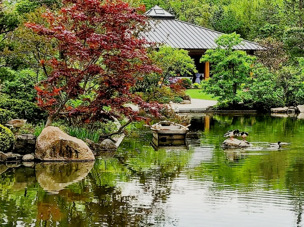 禪與友情時光的藝術：安德森日本花園的完美一天