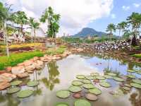 สวนนงนุช พัทยา สวนสวยเที่ยวได้ทั้งวัน