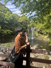 Temple Trails in Fall🍁