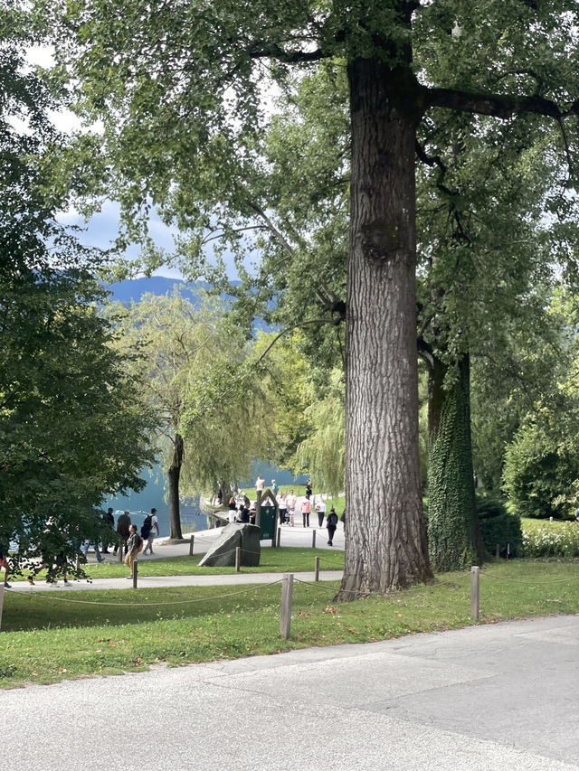 ์ฌ๋ก๋ฒ ๋์ ๋ธ๋ ๋ ํธ์ ์ฐ์ฑ
ํ๊ธฐ ๐ฟโจ ์ฌ๋ก๋ฒ ๋์ ๋ธ๋ ๋ ํธ์ ์ฐ์ฑ
ํ๊ธฐ ๐ฟโจ