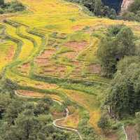 Zhangjiajie National Forest Park — East Gate One-Day Route That Actually Works
