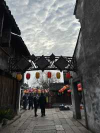 🍵 烏鎮早茶客|一定要吃一頓早茶,水鄉早晨最治癒的開始!