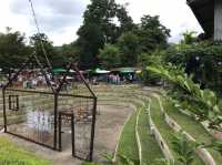 ชุมชนคนชิค : บ้านข้างวัด