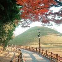 ๐๊ฒฝ์ฃผ์ ๋ฐค์ ๋น์ ์ ๋ฎ๋ณด๋ค ์๋ฆ๋ต๋ค