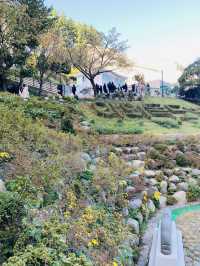 Mountain Market Vibes🌄