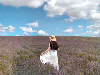 London attractions ෆ⃛ Lavender fields near Hitchin Lavender