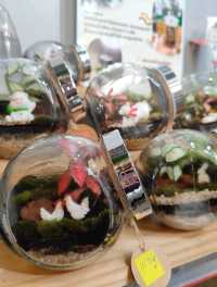 Clazy Cafe คาเฟ่เล็กๆ อบอุ่น✨