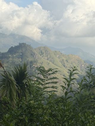 ศรีลังกา: สิ่งที่ควรทำและวิธีการเดินทาง 🇱🇰

วิธีที่ดีที่สุดในการท่องเที่ยวในศรีลังกาคือ จากเมือง → ภูเขา → ทะเล
วิธีนี้จะช่วยให้คุณไม่เหนื่อยล้าและได้สัมผัสประเทศอย่างแท้จริง

โคลัมโบ – การปรับตัว
มาถึง พักหายใจ และใช้เวลาของคุณอย่างเต็มที่
เราพักที่ Amari Colombo – สะดวกสบายหลังจากเที่ยวบินและสะดวกสำหรับการเดินเที่ยวครั้งแรก

แคนดี้ – บรรยากาศและวิว
เราเดินทางโดยรถรับส่ง – รถไฟที่นี่มักถูกยกเลิก
ในตอนเย็น เดินเล่นรอบทะเลสาบและรับประทานอาหารเย็นพร้อมวิวสวยๆ
ฉันแนะนำ Slightly Chilled Lounge

เอลล่า – การผ่อนคลาย
ภูเขา ไร่ชา หมอก และความรู้สึกสงบ
เราพักที่ Blooming Rose Ella
สถานที่ที่ดีที่สุดสำหรับอาหารเย็นหรือกาแฟคือ Cafe Chill

อูนาวาตูนา – การใช้ชีวิตริมทะเล
จุดสิ้นสุดของเส้นทางและการพักผ่อนอย่างเต็มที่ เราพักที่ Villa Rumassala Luxury Chalets – เขียวขจี เงียบสงบ และผ่อนคลายมาก

ร้านกาแฟและร้านอาหารในอูนาวาตูนาที่คุ้มค่าแก่การบันทึกไว้:
• Cool Vibes Beach House – บาร์ ร้านอาหาร และที่เล่นเซิร์ฟ
• SEBU Lounge และ Surf by SEBU
• Taco Super Place
• Koha Surf Lounge
• The Hideout
• Samson Seafood Restaurant

ชายหาด การเล่นเซิร์ฟ เต่า ซาฟารี การชมวาฬ การนวด และวันเวลาที่ไร้ตารางเวลา

กฎหลักของศรีลังกา:
อย่าวิ่งไล่ตามสิ่งต่างๆ จงอยู่กับปัจจุบัน

บันทึกไว้หากคุณกำลังวางแผนเดินทาง 🤍

#ศรีลังกา
#คู่มือท่องเที่ยว
