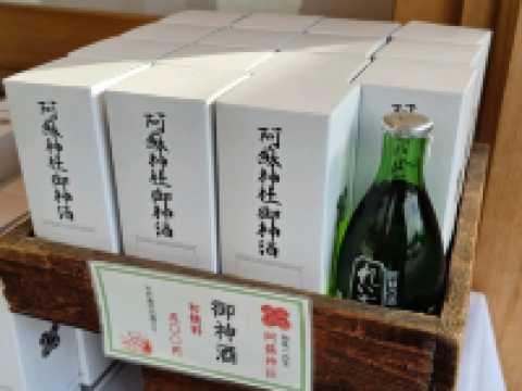 《宮地阿蘇神社|祈願之石與祈福之樹,把心願交給時間》🌲✨