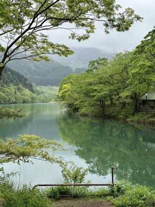 봄날의 공원 산책.