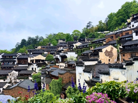 まるで現実の中国山水画——美しさと文化が息づく風景。 | Trip.com 婺源