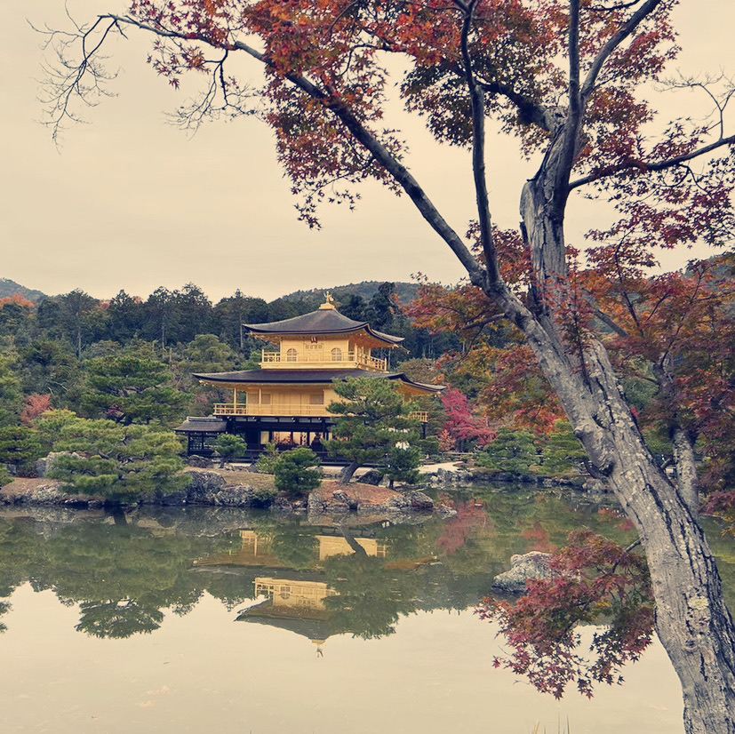 金閣寺｜まるで黄金の寺院をそっと京都の森の中に置いたかのよう