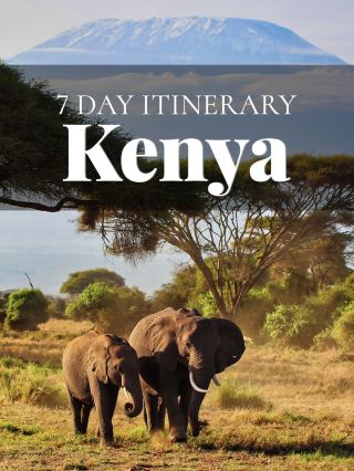 🇰🇪 Kenya Unveiled: A 7-Day Journey from Savannahs to Shores