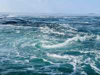 日本三大急流之一：德島鳴門漩渦🌀
