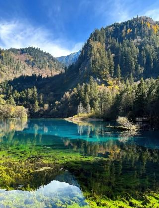 A Hidden Paradise in Nature 🌲💙