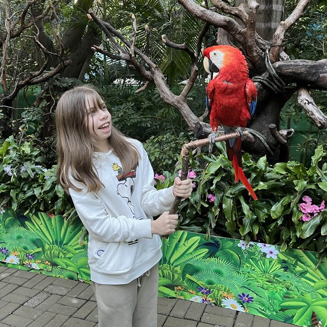 Guangzhou must-visit spot for bird watchers