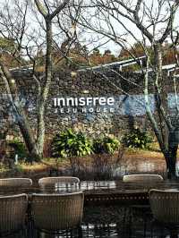 Innisfree Haven: Jeju's Green Retreat