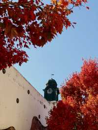 Walk with the rhythm of autumn……