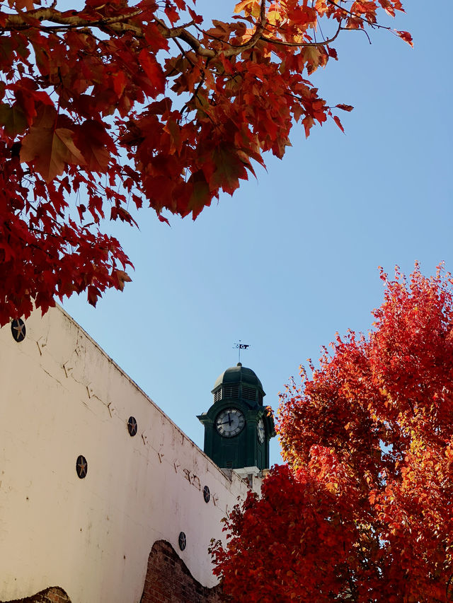 Walk with the rhythm of autumn……