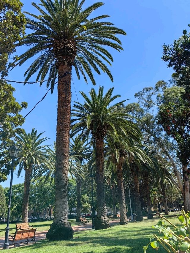 澳洲第一座監獄蜕變成公園
