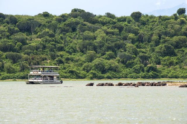 FROM KAZINGA CHANNEL TO ISHASHA
